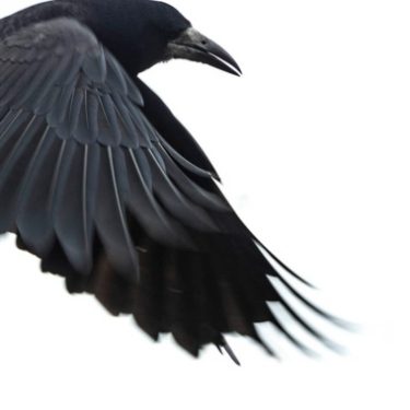 Michael Durand: Blacker Than Any Blindness |  Mermaid Arts Centre 
Main Street, Bray Co. Wicklow | Friday 2 September to Saturday 15 October 2022 | to 