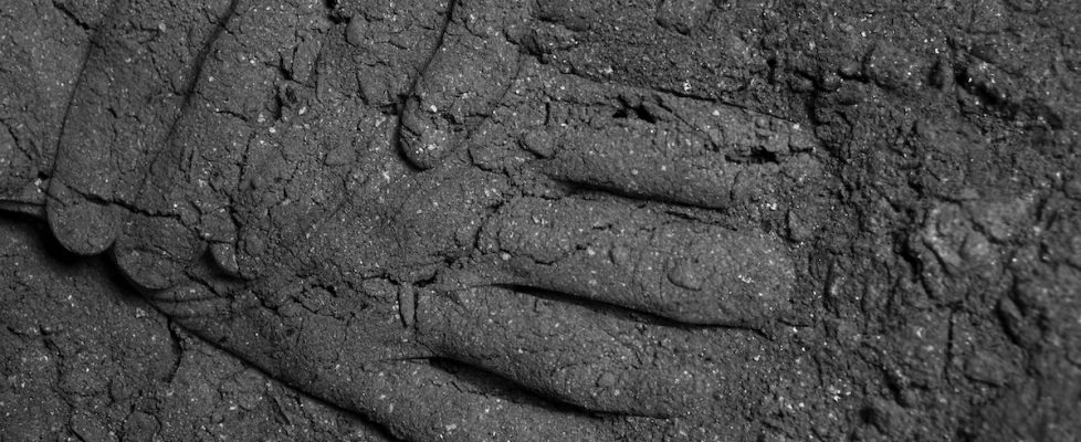 hands ash landscape WEB_PRINT