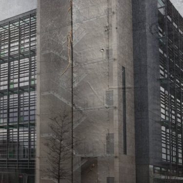 Dianne Whyte: Altered Ground |  Municipal Gallery 
dlr LexIcon Dún Laoghaire, Co. Dublin | Friday 9 September to Sunday 27 November 2022 | to 