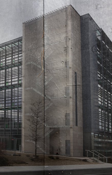 Dianne Whyte: Altered Ground | Friday 9 September  – Sunday 27 November 2022 | Municipal Gallery