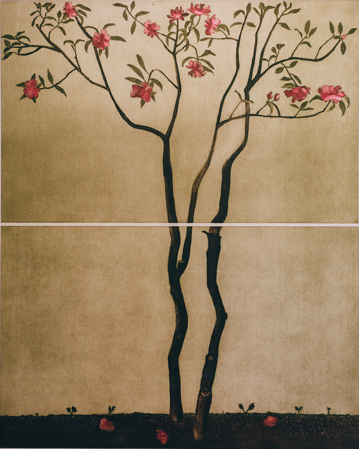 Cliona Doyle | Cliona Doyle and Ed Miliano: The Measure of the Year | Saturday 10 September  – Saturday 15 October 2022 | Graphic Studio Gallery