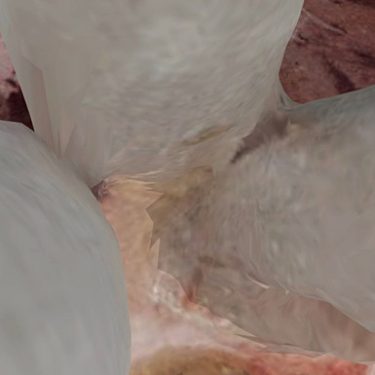 Ofri Cnaani: Accidental Triggers |  Triskel Arts Centre 
14A Tobin Street, Cork City | Thursday 1 September to Sunday 27 November 2022 | to 