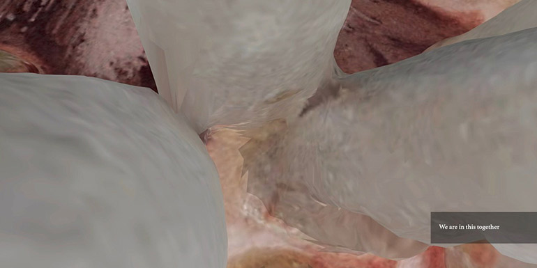 Ofri Cnaani: Accidental Triggers | Thursday 1 September  – Sunday 27 November 2022 | Triskel Arts Centre