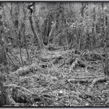 Willie Doherty: IS AND IS NOT |  Kerlin Gallery 
Anne's Lane South Anne Street, Dublin 2 | Saturday 15 October to Saturday 19 November 2022 | to 