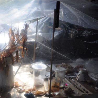 Ann Henderson: Dust |  Roscommon Arts Centre 
Circular Road Roscommon Town | Friday 11 November 2022 to Saturday 14 January 2023 | to 