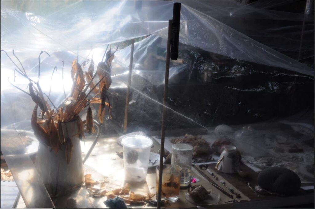 Ann Henderson: Dust | Friday 11 November 2022  – Saturday 14 January 2023 | Roscommon Arts Centre