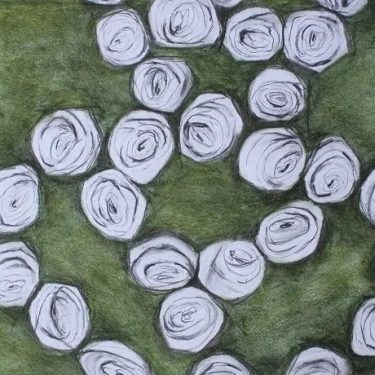 Miriam McConnon: Lost Lace |  Olivier Cornet Gallery 
3 Great Denmark Street (beside Belvedere College) Dublin 1 | Wednesday 19 October to Sunday 6 November 2022 | to 