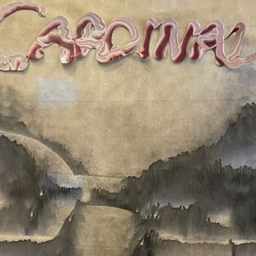 Austin Hearne: Requiem for Raymo |  Royal Hibernian Academy 
15 Ely Place, Dublin 2 | Friday 18 November 2022 to Sunday 29 January 2023 | to 