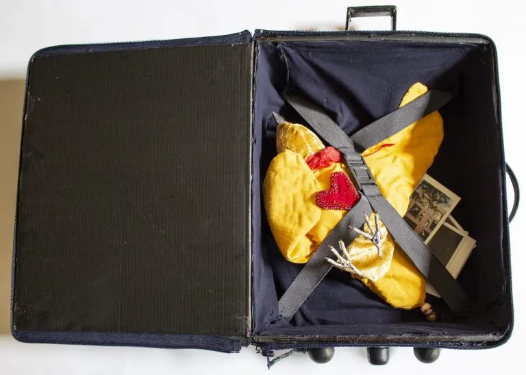 Corina Duyn and Caroline Schofield: I brought the dream of flying… | Saturday 14 January  – Saturday 11 February 2023 | GOMA Gallery of Modern Art