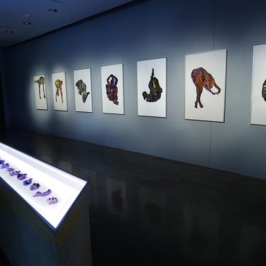 Alice Maher: VOX HYBRIDA |  Golden Thread Gallery 
23-29 Queen Street Belfast BT1 6EA | Saturday 25 February to Saturday 8 April 2023 | to 