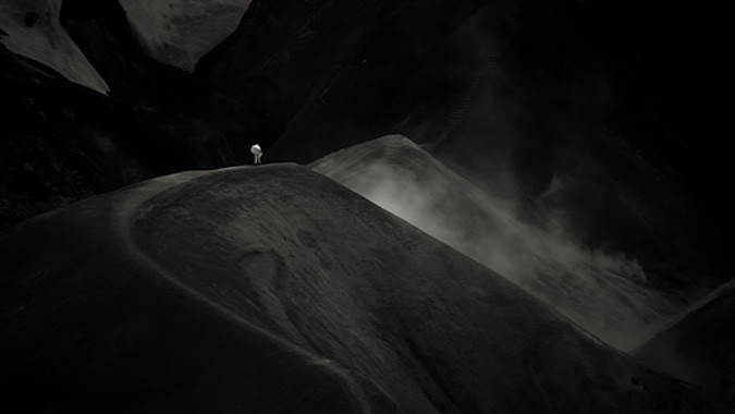 Clare Langan: Heart Of A Tree (Photograph 1), 2020, 80 x 120cm | Clare Langan: At The Gates of Silent Memory | Saturday 18 February  – Thursday 20 April 2023 | Luan Gallery | Image: Clare Langan: Heart Of A Tree (Photograph 1), 2020, 80 x 120cm 