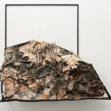 Art and the Anthropocene: Being in and Apart from Nature |  Garter Lane Arts Centre 
O'Connell Street Waterford | Friday 3 March to Saturday 6 May 2023 | to 