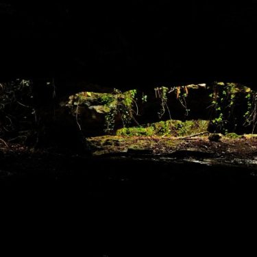 Dorothy Hunter: fully conscious movements, fully different time |  Golden Thread Gallery 
23-29 Queen Street Belfast BT1 6EA | Saturday 25 March to Saturday 20 May 2023 | to 