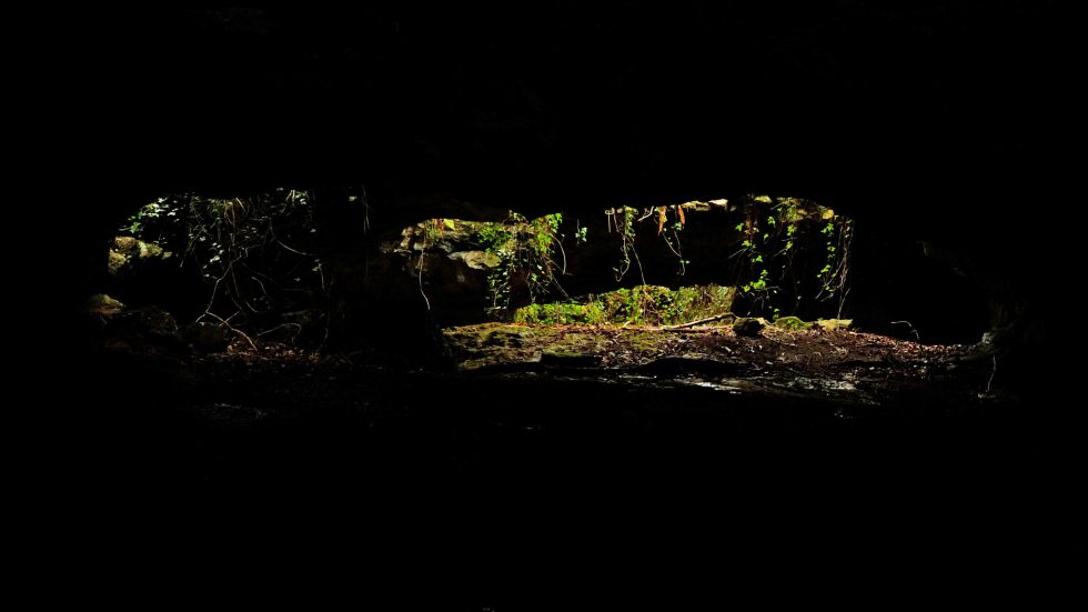 Dorothy Hunter: fully conscious movements, fully different time | Saturday 25 March  – Saturday 20 May 2023 | Golden Thread Gallery | Image: photo showing view looking out from underground cavern into what seems to be damp, green woods 