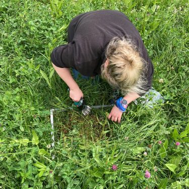 Holdings |  Solstice Arts Centre 
Navan, County Meath | Saturday 6 May to Saturday 17 June 2023 | to 