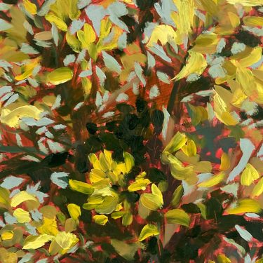 I hear the Earth calling… |  Solstice Arts Centre 
Navan, County Meath | Saturday 8 April to Friday 28 April 2023 | to 