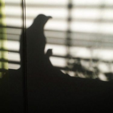 Paul Rooney and Deirdre Schoales: R2D2 |  Regional Cultural Centre 
Port Road, Letterkenny Co. Donegal | Tuesday 21 March to Saturday 6 May 2023 | to 