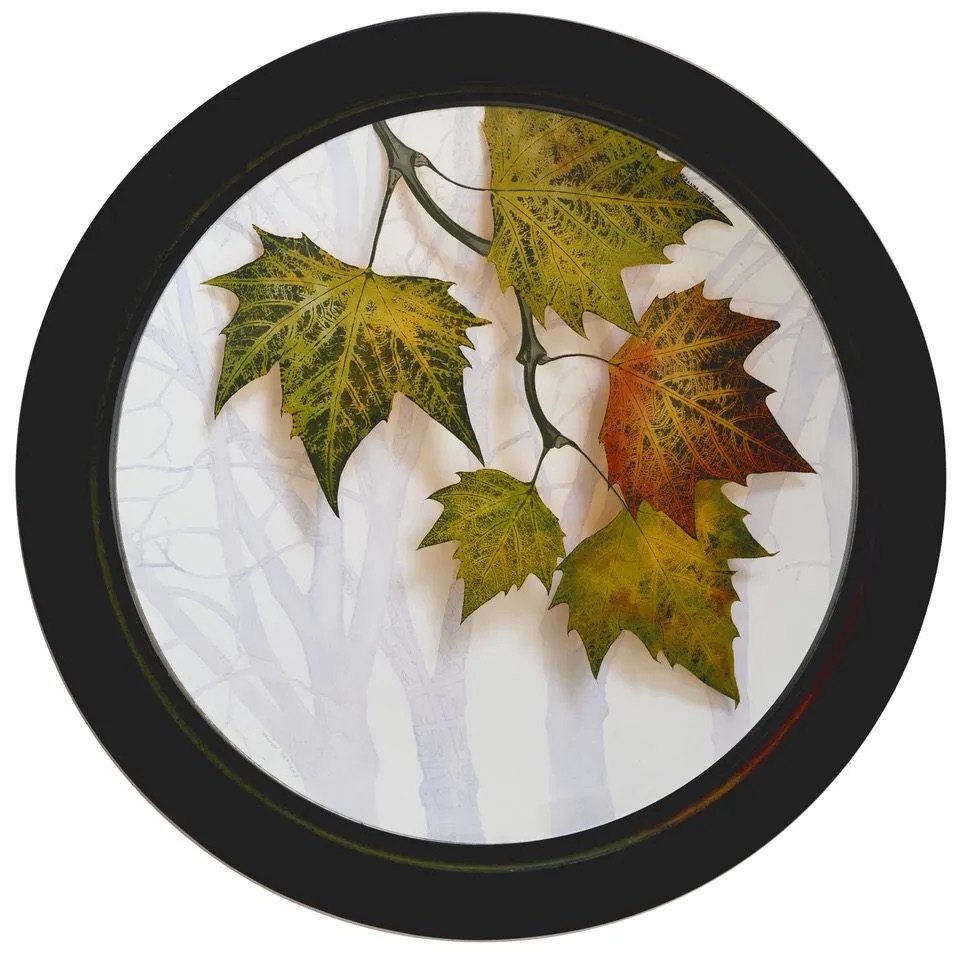 Yanny Petters, Cathal Brugha Planes 2023, verre églomisé (reverse painting on glass) on convex glass with watercolour drawing background, 51x51cm, private collection (photo by Tony Kearns) | Arbour Essences in Anthropocene Dublin | Sunday 14 May  – Friday 30 June 2023 | Olivier Cornet Gallery | Image: Yanny Petters, Cathal Brugha Planes 2023, verre églomisé (reverse painting on glass) on convex glass with watercolour drawing background, 51x51cm, private collection (photo by Tony Kearns) – black circular frame with hits of a coloured inset, around a painting of five maple (?) leaves rendered most realistically; the leaves cast a shadow onto a rendering of pale hints of trees behind 