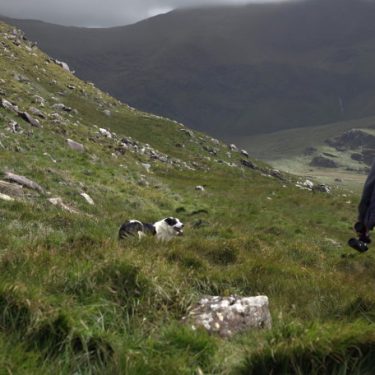 Lisa Fingleton: Voices From the Field / Guthanna ón nGort |  Crawford Art Gallery 
Emmet Place, Cork | Friday 12 May to Sunday 23 July 2023 | to 