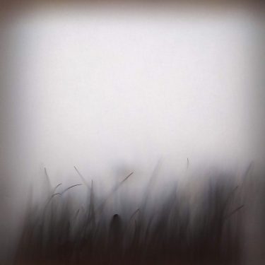 Charys Wilson: Spaces Between |  Golden Thread Gallery 
23-29 Queen Street Belfast BT1 6EA | Saturday 3 June to Saturday 22 July 2023 | to 