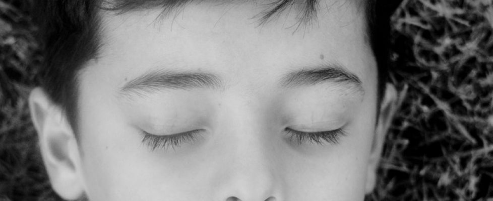 Shut your eyes and see 2023