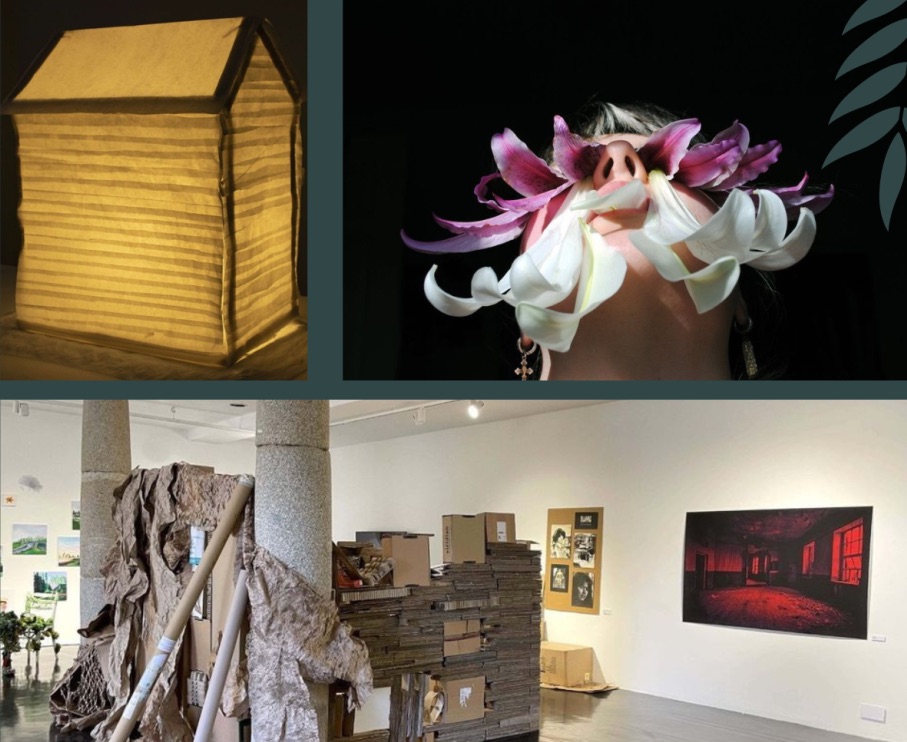 SETU Degree Show: YOLK | Friday 12 May  – Wednesday 31 May 2023 | Wexford Arts Centre | Image: photos of artworks, in three panels: 1. small translucent hut made of fabric (?), lit from inside in dark space; 2. face viewed from below chin (head tilted back), with lily leaves creating enormous eyelashes and maybe a white beard; 3. installation shot of various artworks in large space 