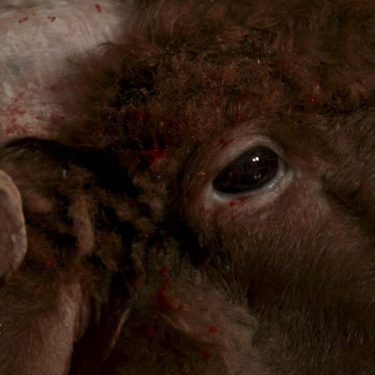 Anton Vidokle and the Institute of the Cosmos |  SIRIUS 
The Old Yacht Club Cobh, Co. Cork | Saturday 1 July to Saturday 28 October 2023 | to 