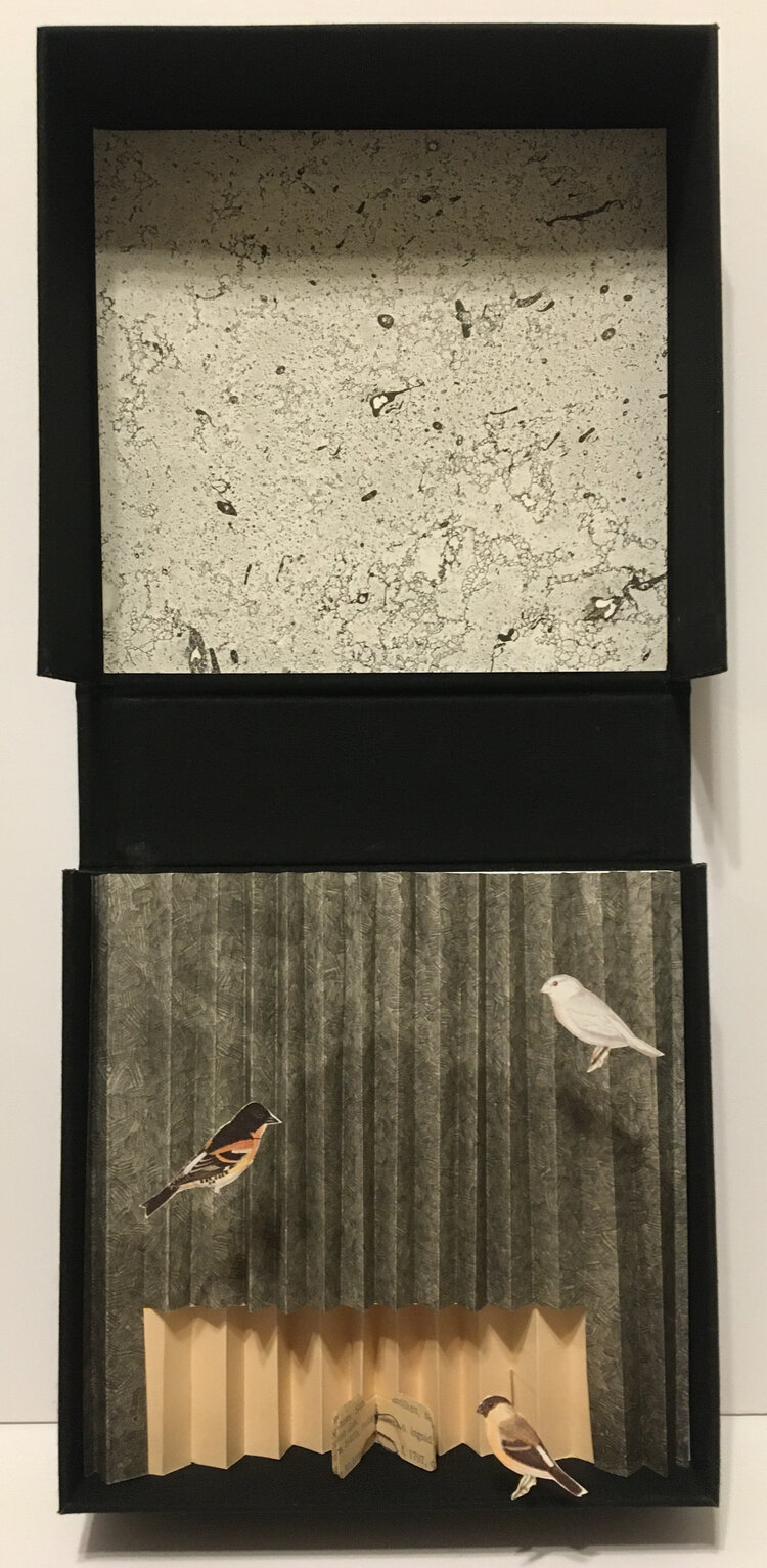 Sharon Lee: Confined to the Mountain 2, 38 x 17.5 cm (paper size), 15.5 x 15 cm, Solander box with printed assemblage of lithographs and found paper | Expanded ’23 | Saturday 10 June  – Saturday 15 July 2023 | Graphic Studio Gallery | Image: Sharon Lee: Confined to the Mountain 2, 38 x 17.5 cm (paper size), 15.5 x 15 cm, Solander box with printed assemblage of lithographs and found paper – probably a view from above of an open square box; top and bottom images; top is a mottled, greyscale surface; bottom contains images of birds against concertina-ed paper 