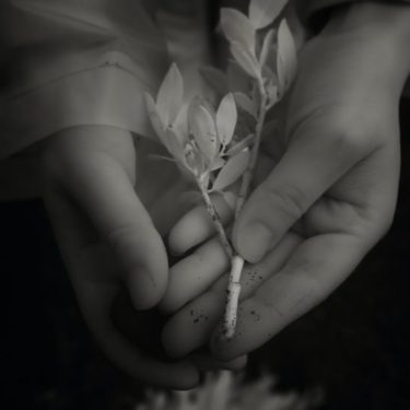 Clare Langan: The New Dawn Fades |  Golden Thread Gallery 
23-29 Queen Street Belfast BT1 6EA | Saturday 8 July to Thursday 31 August 2023 | to 