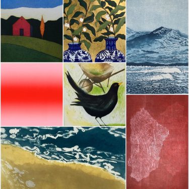 Summer Exhibition 2023 |  Graphic Studio Gallery 
off Cope Street Temple Bar, Dublin 2 | Saturday 22 July to Saturday 26 August 2023 | to 