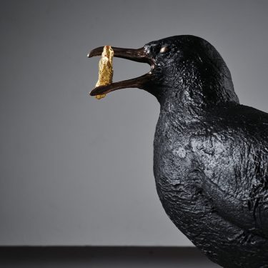 Niamh McCann: someone decides, hawk or dove |  Battle of the Boyne Oldbridge House Co. Meath | Thursday 27 July 2023 | to 