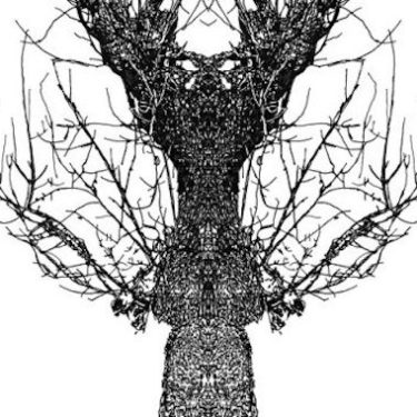 Eamon O’Kane: ‘anarchive’ |  The Source Arts Centre 
Thurles Co Tipperary | Saturday 9 September to Saturday 14 October 2023 | to 