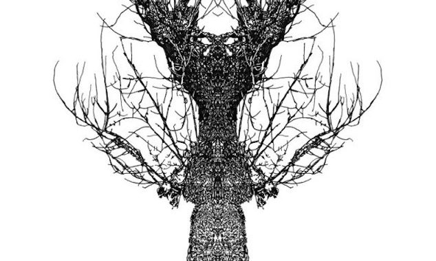 Eamon O’Kane: ‘anarchive’ | Saturday 9 September  – Saturday 14 October 2023 | The Source Arts Centre | Image: a drawing of part of the trunk of a bare tree, with branches sticking out to the side; the background is white; the tree as depicted is totally symmetrical, which creates a haunting effect – we can project human or animal-like figures into the patterns and shapes 