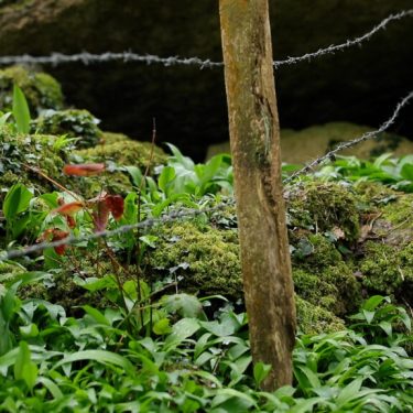 Laura Skehan: Future Distant Memory Calls |  Roscommon Arts Centre 
Circular Road Roscommon Town | Friday 25 August to Sunday 29 October 2023 | to 