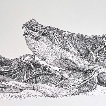 Christina Todesco-Kelly: These Shoes are Made for Drawing |  Emo Court Dower House Gallery Emo Court, Emo, Co. Laois | Friday 4 August to Sunday 10 September 2023 | to 