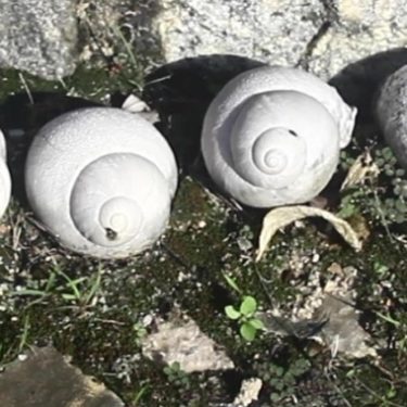 aemi tour 2023: Súitú |  Mermaid Arts Centre 
Main Street, Bray Co. Wicklow | Saturday 14 October to Saturday 2 December 2023 | to 