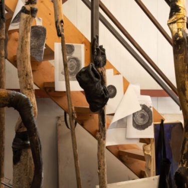 Ben Reilly: Spider Tree |  Garter Lane Arts Centre 
O'Connell Street Waterford | Friday 22 September to Saturday 18 November 2023 | to 