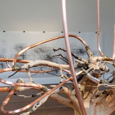 Katherine Sankey: Earthlab: living matters |  Royal Hibernian Academy 
15 Ely Place, Dublin 2 | Sunday 15 October to Sunday 12 November 2023 | to 