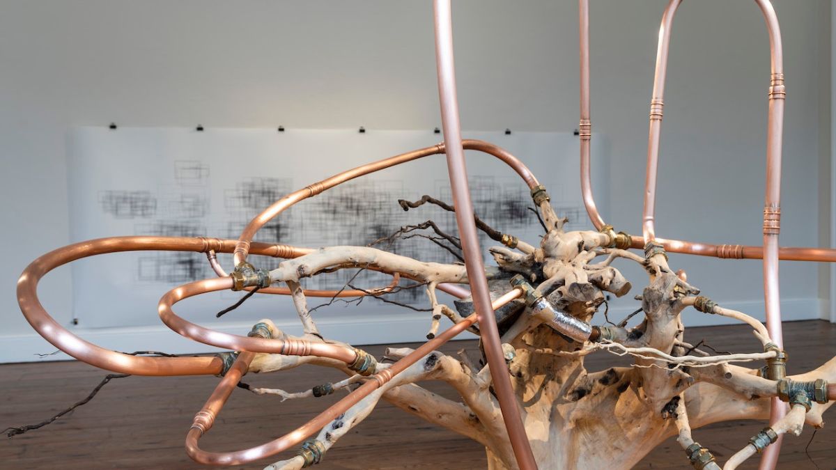 Katherine Sankey, Host, 2023, Tree roots, chair, plumbing, metal screw-in pins, emergency thermal blanket, black theatre paint, electrical components and tape, old stomatoscope (dental mirror), Background: Land by Corban Walker, 400 x 250 x 200cm, Photography Paul McCarthy, Image courtesy of the artist. | Katherine Sankey: Earthlab: living matters | Sunday 15 October  – Sunday 12 November 2023 | Royal Hibernian Academy | Image: Katherine Sankey, Host, 2023, Tree roots, chair, plumbing, metal screw-in pins, emergency thermal blanket, black theatre paint, electrical components and tape, old stomatoscope (dental mirror), Background: Land by Corban Walker, 400 x 250 x 200cm, Photography Paul McCarthy, Image courtesy of the artist. | installation shot, probably in the RHA; we see in the foreground part of a sculpture constructed from tree rootes attached to copper (?) pipes using brass connectors and the odd bit of silver duct tape; maybe five metres (hard to say) behind, there's a wall on which is hung a large drawing by Corban Walker; it's a shimmering pattern of criss-crossing vertical and horizontal strokes, possibly in charcoal 