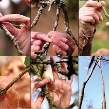 Screendance |  Limerick City Gallery 
Pery Square, Limerick | Friday 10 November 2023 to Sunday 28 January 2024 | to 