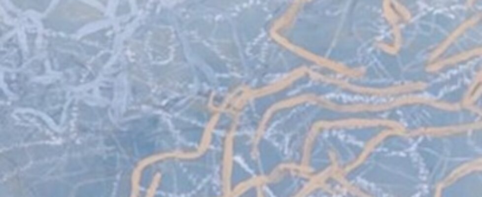 place in motion copy