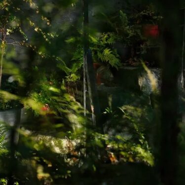 Compendium – Winter Group Show 2023 – 2024 |  Olivier Cornet Gallery 
3 Great Denmark Street (beside Belvedere College) Dublin 1 | Sunday 17 December 2023 to Sunday 17 March 2024 | to 