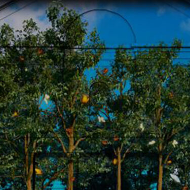 Brian Kenny: Tempus Futurum |  Triskel Arts Centre 
14A Tobin Street, Cork City | Thursday 14 December 2023 to Tuesday 30 April 2024 | to 