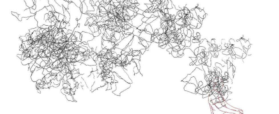 Dominic-Thorpe-Untitled2