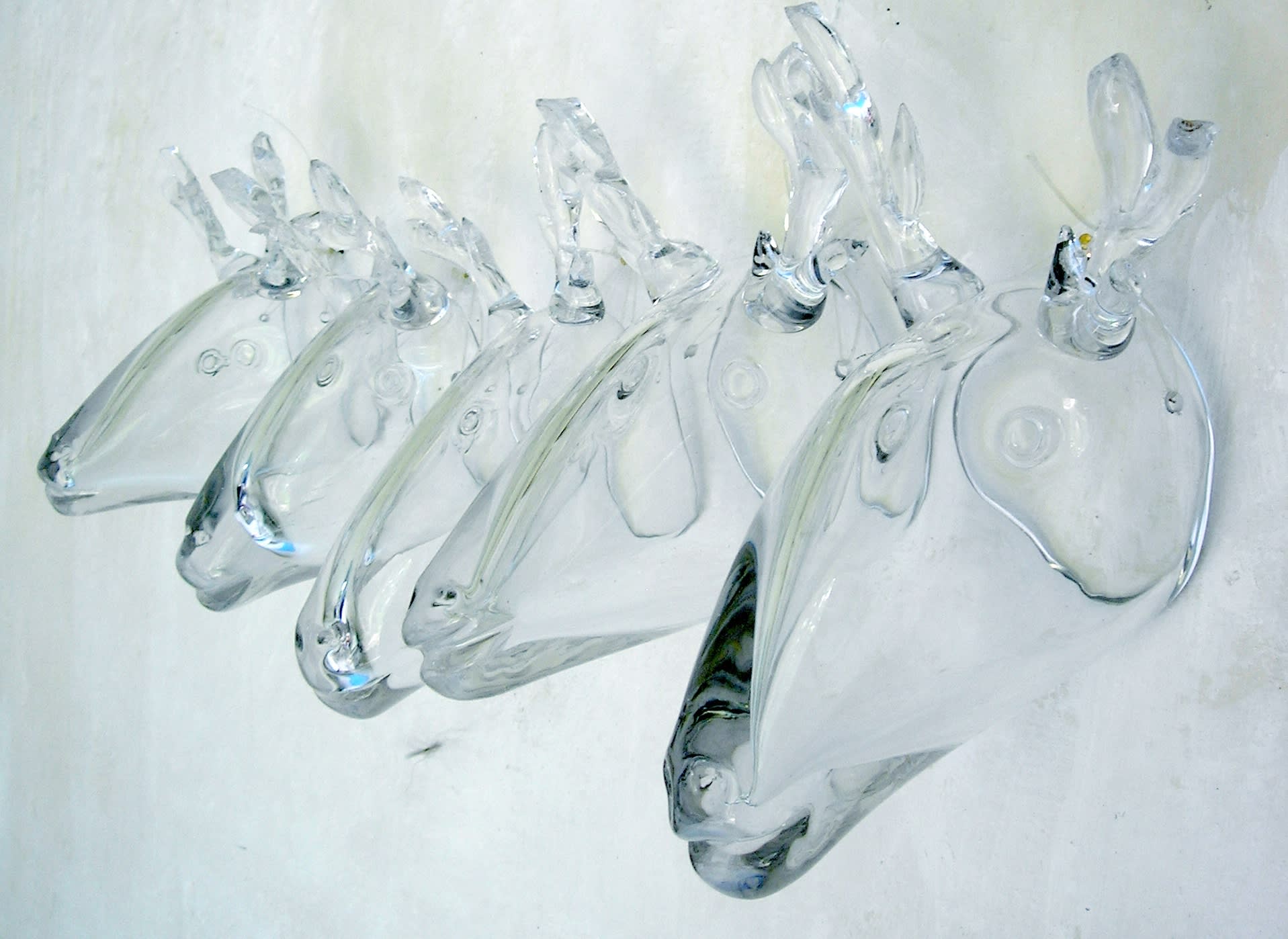Janet Mullarney: Glass Masks, 2006, hand-blown glass, 17 x 21 x 22cm each. Photo by T. Perissi | Winter Group Show | December 2023 – January 2024  | Taylor Galleries | Image: Janet Mullarney: Glass Masks, 2006, hand-blown glass, 17 x 21 x 22cm each. Photo by T. Perissi | photograph from at an angle to the side of five reindeer (?) heads created in blown, colourless glass; they are mounted on a wall