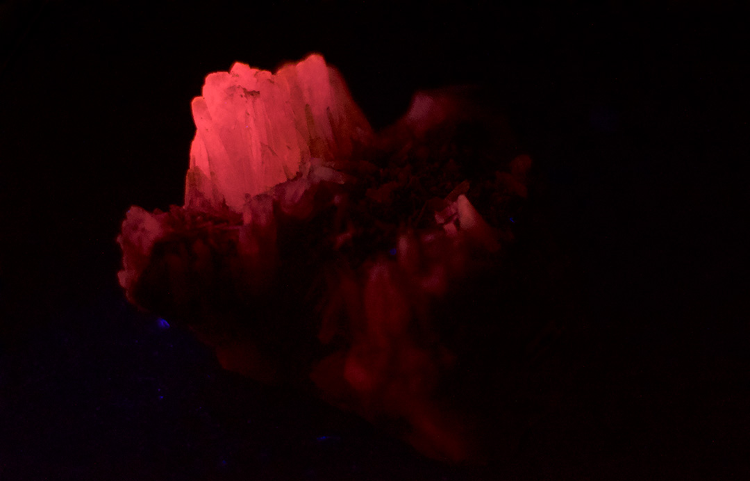 Susan Hughes: Stones from a Gentle Place | Saturday 20 January  – Thursday 28 March 2024 | CCA | Image: cropped image of what looks somewhat like a pinkish crystal moodily illuminated against a black background 