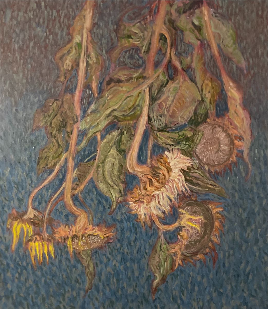 Brain Bourke, Decaying Sunflowers, oil on canvas, 110 x 95 cm  | Brian Bourke | Michael Kane | Friday 1 March  – Saturday 13 April 2024 | Taylor Galleries | Image: Brain Bourke, Decaying Sunflowers, oil on canvas, 110 x 95 cm | we see the heads of six past-it sunflowers against a dappled blue 'sky' – only it is presumably not the sky, as it is towards the bottom of the canvas, and the sunflowers are apparently suspended upside-down, such that we see their stems disappear off the top of the canvs; the depiction is fairly realistic, somewhat impressionist, with dried-out flower heads and shrivelling leaves; the overall effect is quite cheerful 
