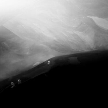 Clare Langan: The Heart of A Tree  |  Crawford Art Gallery 
Emmet Place, Cork | Thursday 14 March to Sunday 28 April 2024 | to 