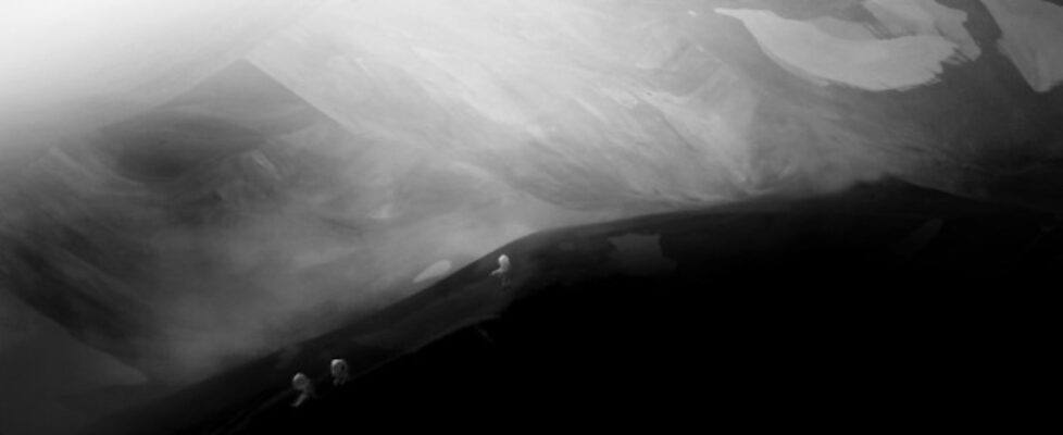 1.-Clare-Langan-The-Heart-of-a-Tree-film-still v2