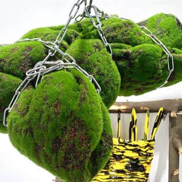 Graham Holbrook: Horizontalius |  NCAD Gallery 
100 Thomas Street Dublin 8 | Thursday 14 March to Thursday 28 March 2024 | to 